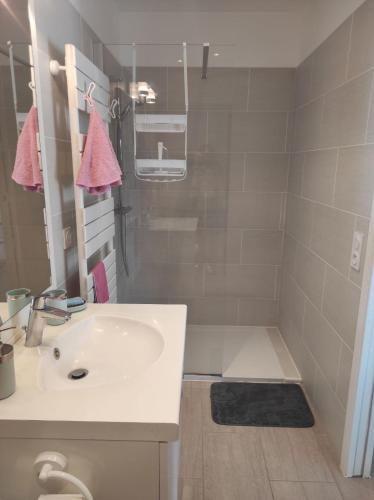 une salle de bain avec un lavabo et une baignoire dans l'établissement LA Marina, à Marcorignan