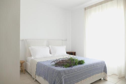 a white bedroom with a bed with a blue blanket at Eleftherion Comfort Living Lefkada in Fternón