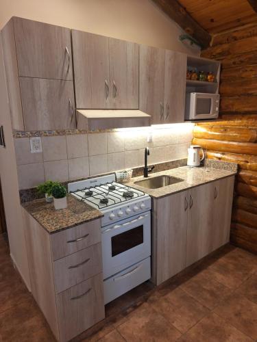 a kitchen with a stove and a sink at Pinares de Cacheuta in Las Heras