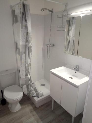 une salle de bain avec toilettes, lavabo et douche dans l'établissement T2 Piscine, parking et clim à sanary, à Sanary-sur-Mer