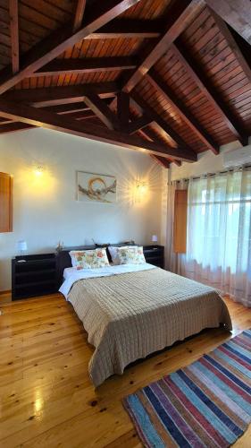 a bedroom with a large bed and a rug at Alexander Dion House in Afitos