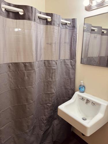 a bathroom with a shower curtain and a sink at Liberty Valley Studio - 1001-29 in Madison