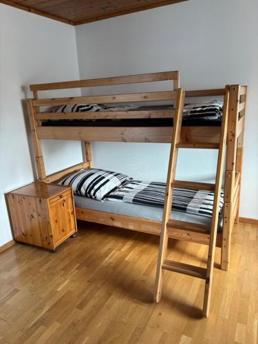 a bunk bed with a ladder next to a bunk bedouble at Ferienwohnung Allersberg beim Rothsee in Allersberg