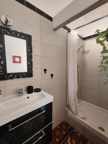 une salle de bain avec un lavabo et une douche dans l'établissement Location appartement, à Saint-Paul-le-Jeune
