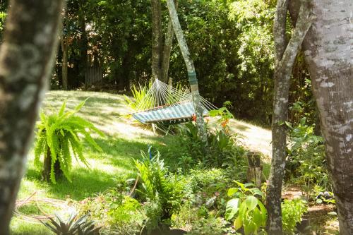 a hammock in the middle of a garden at Pousada da Mata in Iriri