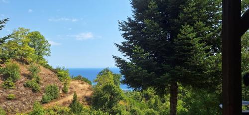 a view of the ocean from a hill with trees at Kastania Gi in Palaios Panteleimon