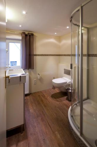 a bathroom with a toilet and a sink and a shower at Altstadtflair Apartment in Husum