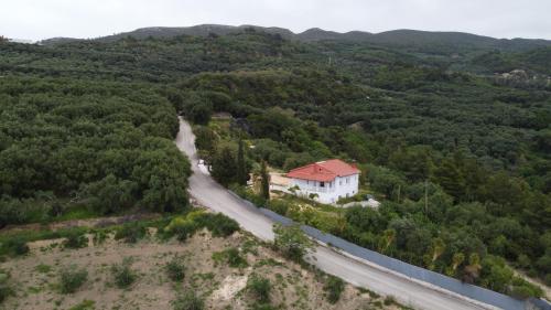 a house on a road in the middle of a forest at Villa Naturaleza in Loutsa