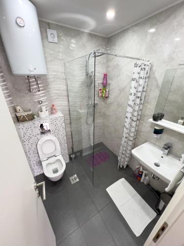 a bathroom with a shower and a toilet and a sink at Apartmani HM in Trebinje