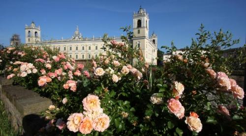 a bunch of flowers in front of a building at La Meridiana Affittacamere in Colorno