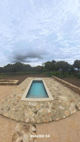une piscine au milieu d'un champ dans l'établissement Cabanon en Lubéron, à Bonnieux