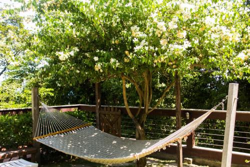 a hammock in front of a tree at Pousada da Mata in Iriri