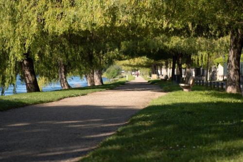 a tree lined path in a park next to the water at Divine Couture - Suite Vivienne in Carrières-sur-Seine
