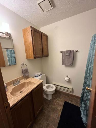 Un baño de Tomah Apartment - 201 E Veterans Unit J