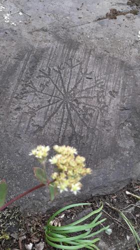 a flower on the ground with a painting on the sidewalk at Le Rive nel bosco in Capo di Ponte