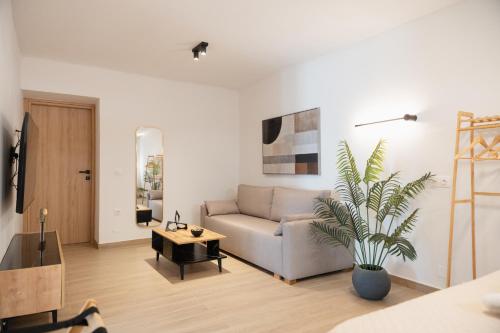 a living room with a couch and a potted plant at Casa Moderna in Fourfourás
