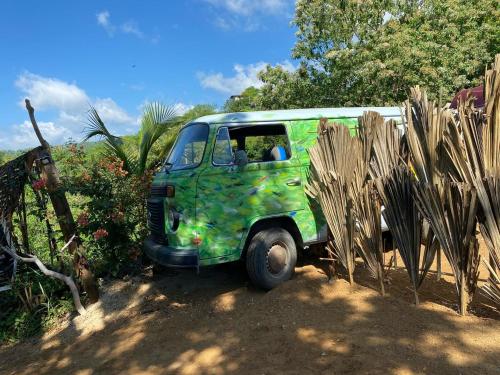 Ein Garten an der Unterkunft Bajo Las Estrellas Eco Glamping