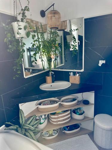 une salle de bain avec un lavabo et un miroir dans l'établissement Villa avec piscine proche de la plage, à Pérols