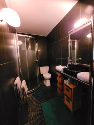 une salle de bain avec toilettes, douche et lavabo dans l'établissement Studio calme proche Montmartre et Batignolles - Metro 13 et 14, à Paris