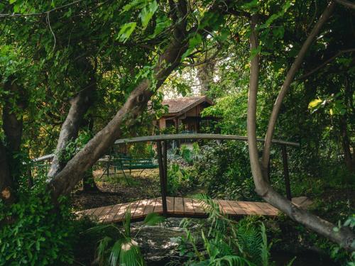 a wooden bridge in the middle of a forest at Cute Apartment hagoshrim in Hagoshrim
