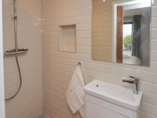 Un baño con lavabo y ducha en The Willows, en Newport