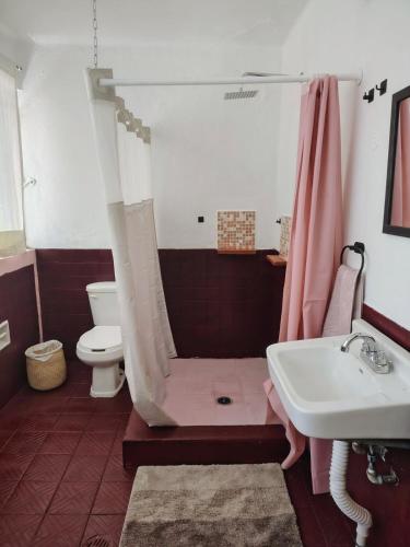 a bathroom with a shower with a sink and a toilet at EL LIMÓN departamento in Oaxaca City