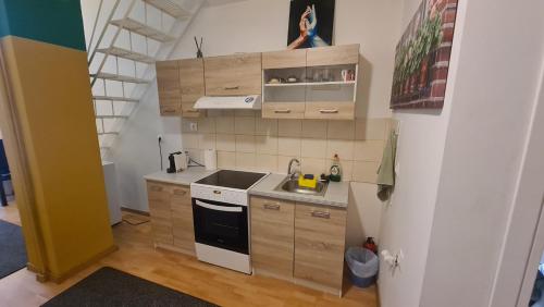 アテネにあるCozy Mezonette near City Center Athens near Metroのシンクとコンロのある小さなキッチン