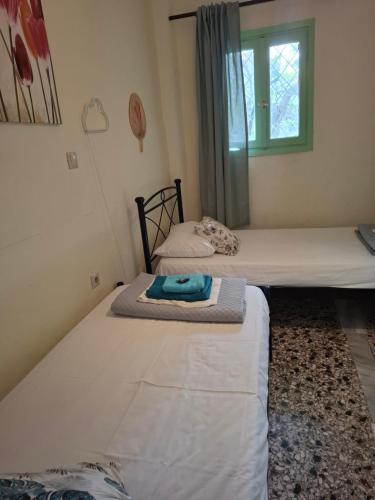 two twin beds in a room with a window at Vitamin sea Apartment 4, Άνετο διαμέρισμα. in Almiropótamos