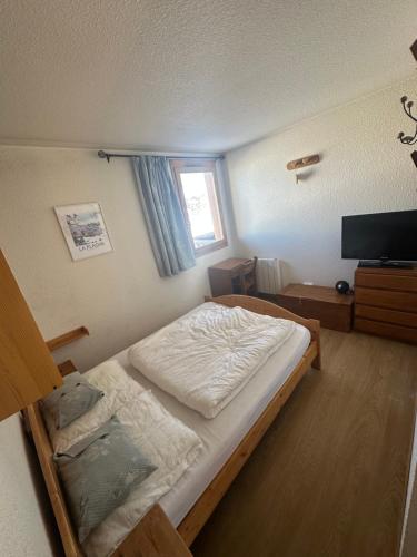 Appartement station de ski la plagne