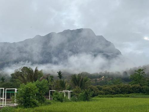 a mountain in the distance with a field and trees at The Rice Chiang Dao in Ban Thung Lakhon