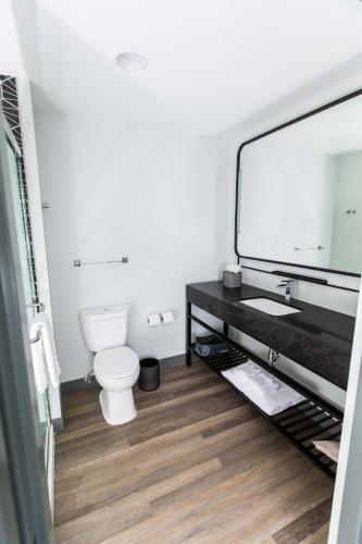 a bathroom with a toilet and a large mirror at voco The Darwin - Atlanta Midtown by IHG in Atlanta
