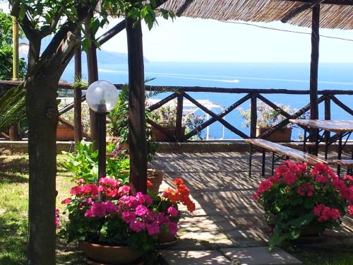 a patio with flowers and a view of the ocean at Tessa's Holiday in Massa Lubrense