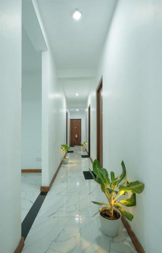 a hallway with white walls and a potted plant at cmb apartments in Negombo