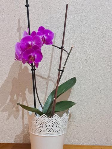 a white vase with purple flowers in it at CASA Di TRE MARE in Nea Kalikratia