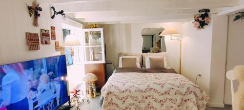 Posteľ alebo postele v izbe v ubytovaní PARIS AUTHENTIC HOUSE studio with green courtyard 12 rue labourse Gentilly 94250