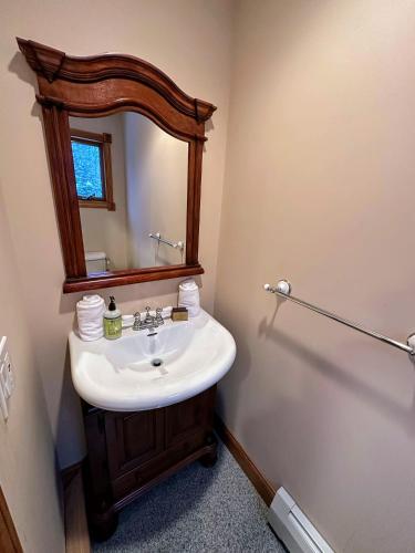 a bathroom with a sink and a mirror at Spacious private home - AL132 in Carroll
