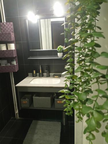 Akon Nafplio room II