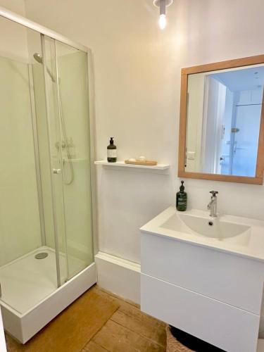 une salle de bain avec une douche, un lavabo et un miroir dans l'établissement French classic apartm 2 bedroom best location, à Cannes