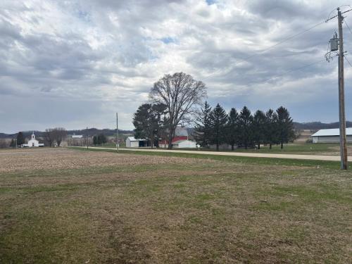 an empty field with trees and a telephone pole at Comfortable Country Home in Sparta