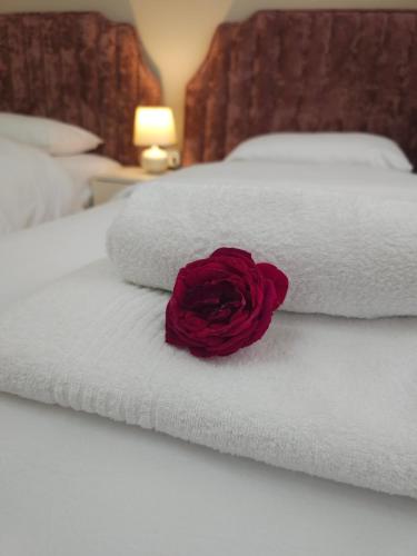 a red rose sitting on top of a white bed at Linda's Guest House in Berat