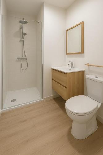 une salle de bain avec une douche, des toilettes et un lavabo dans l'établissement Maison de charme, à Saint-Agrève