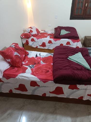two beds sitting next to each other in a room at Badry Sahara Camp in Bawiti