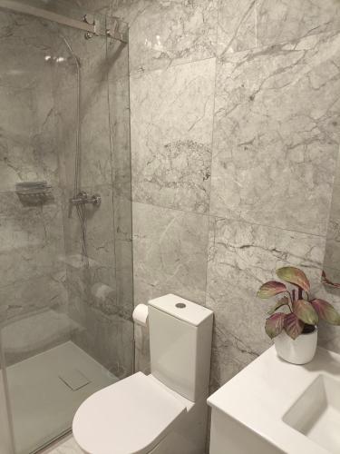a bathroom with a white toilet and a shower at Alojamento Local Mariposa Azul in Valença