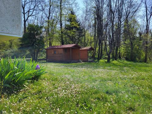 a small wooden cabin in a field of grass at Koča sredi gozda in Kanal