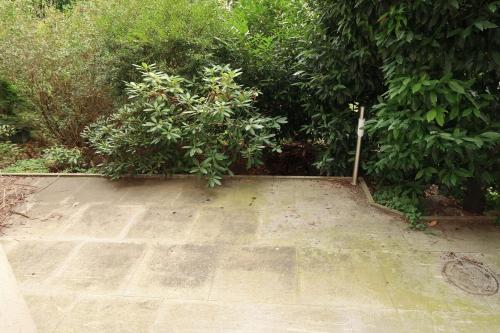 Κήπος έξω από το Cozy Central Apartment