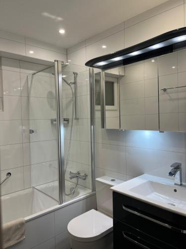 a bathroom with a shower and a toilet and a sink at Cozy Central Apartment in Basel