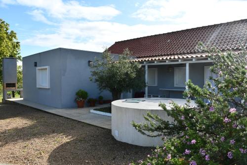 Κήπος έξω από το Casa do Avô Ezequiel