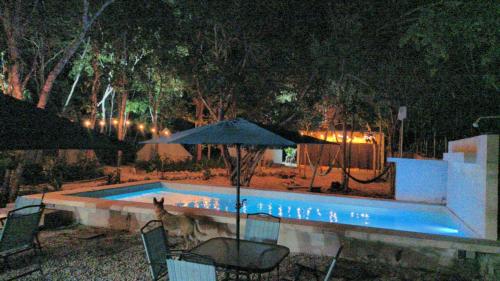 a dog sitting next to a swimming pool at night at BACALAR INN Hotel in Bacalar