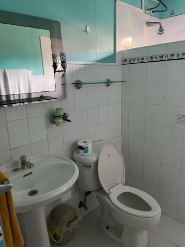 a bathroom with a white toilet and a sink at PLAYA BLANCA BED AND BREAKFAST in Bayahibe