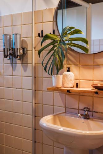a bathroom with a sink and a mirror and a plant at Pousada Vila das Pedras in Ilhabela